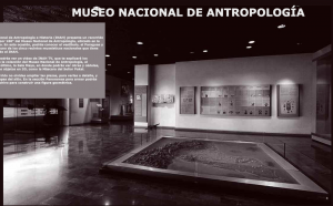 El Museo Nacional de Antropología (MNA)
